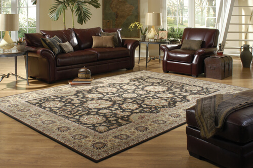 Area Rugs in Gurnee, IL